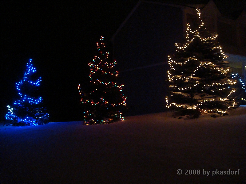020 A2 Snowfall & Trees [2008 Dec 20].JPG - Our Christmas Trees for 2008.
